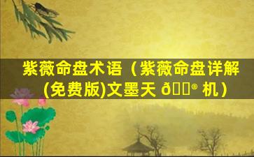 紫薇命盘术语（紫薇命盘详解(免费版)文墨天 💮 机）